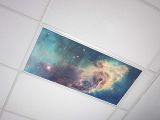 image for PRIORITY ITEM: Orion Nebula Light Cover