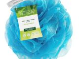 image for Shower Loofah