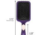 image for Hairbrushes