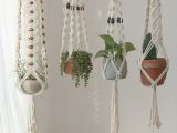 image for Plant hangers