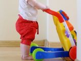 image for Push & pull toys