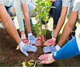 image for Denver Botanic Gardens Membership