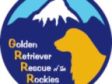 image for Donate to GRRR