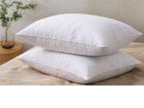 image for Pillows