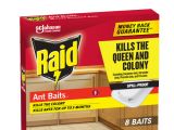 image for Ant Bait