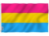 image for Pansexual Pride Flag