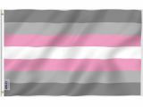 image for Demigirl Pride Flag