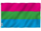 image for Polysexual Pride Flag