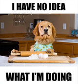 image for Make a side dish!