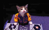 image for DJ our wedding