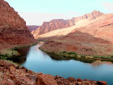 image for Donation to The Environmental Defense Fund