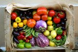 image for $20 towards a CSA Membership