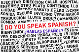 image for Spanish Practice Partner